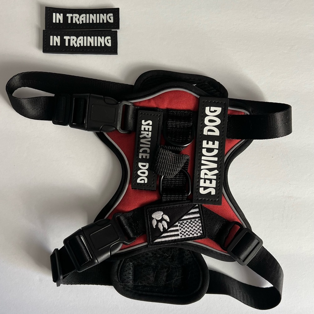 Dog Harness